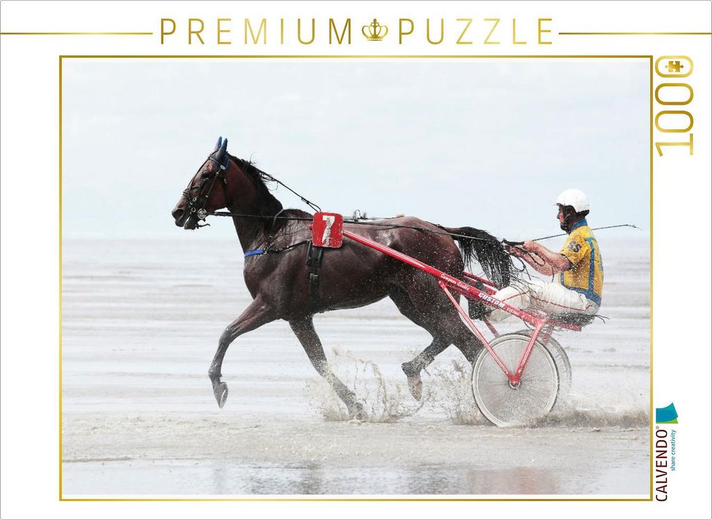 CALVENDO Puzzle Nasse Fahrt | 1000 Teile Lege-Größe 64x48cm Foto-Puzzle für glückliche Stunden