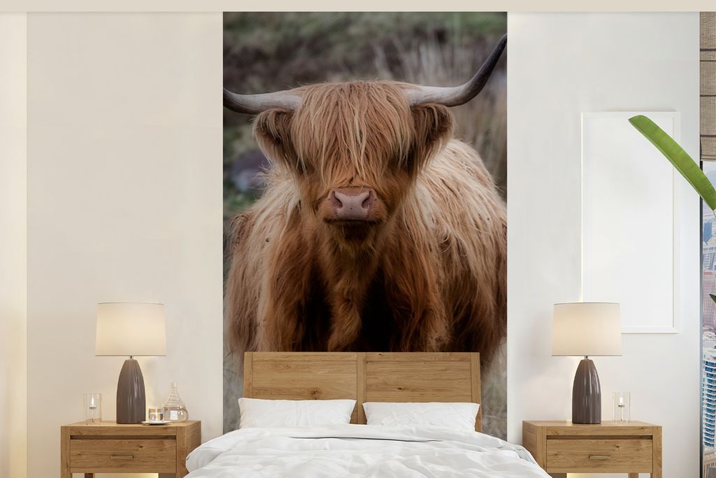 MuchoWow Fototapete für Wohnzimmer oder Schlafzimmer Wandtapete Vinyl Motivtapete Schottischer Hochländer - Moos - Gras - 120x240 cm