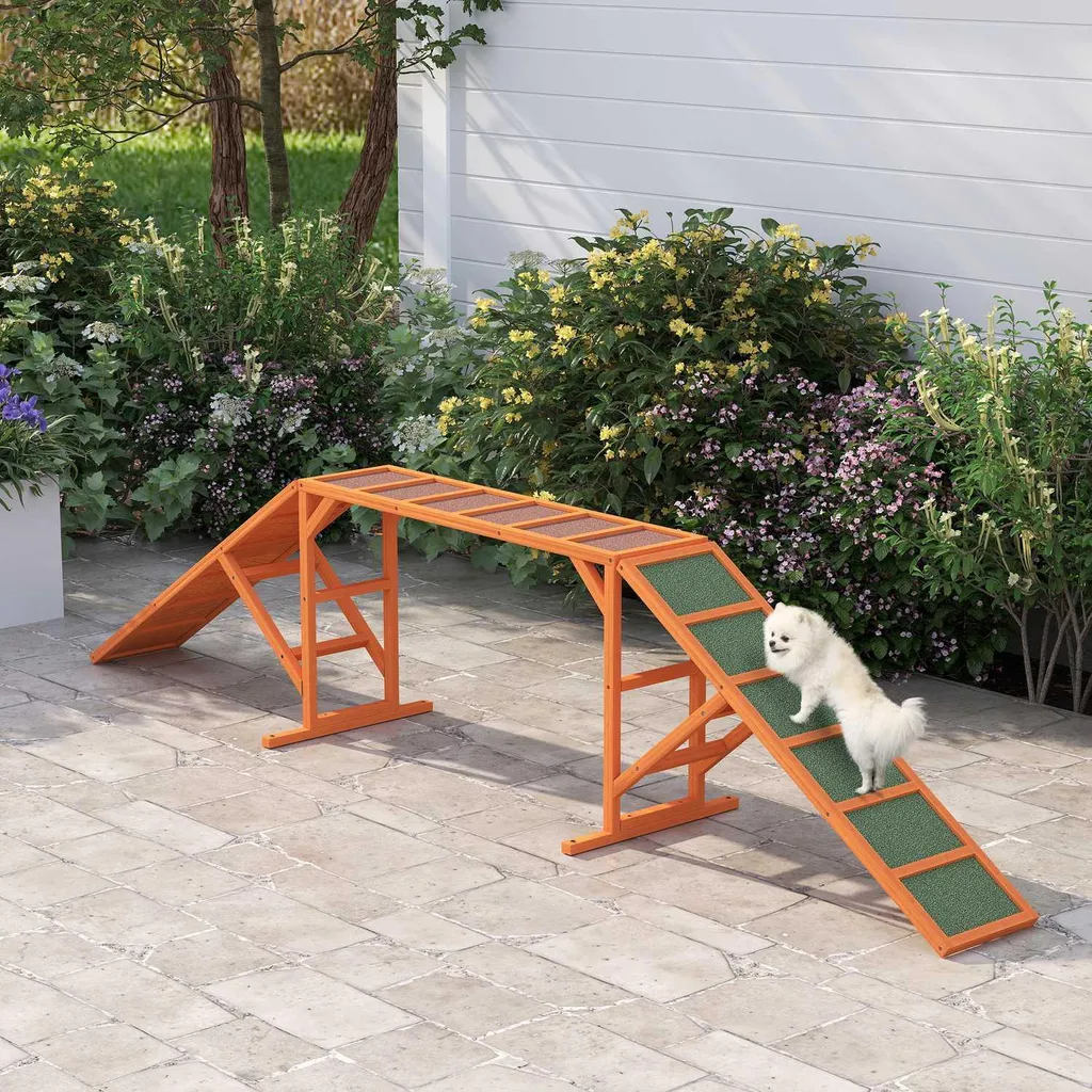 Passerelle Agility Chien Anti-Glisse avec Rampe de Sécurité Orange - 2