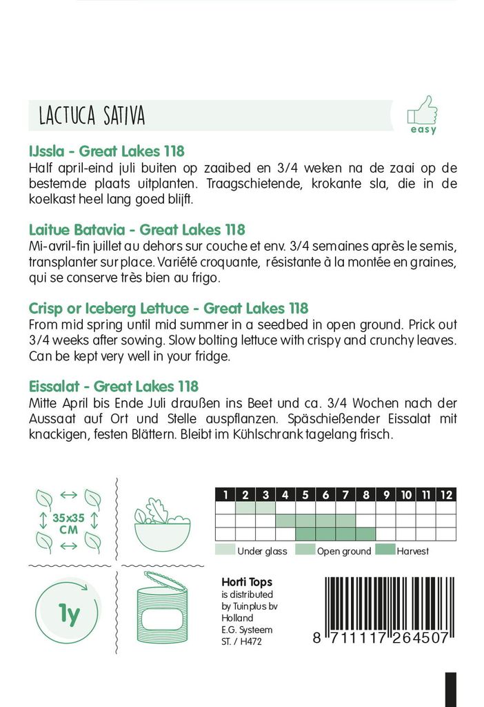 Kopfsalat Great Lakes 118 | Kopfsalatsamen von Hortitops Produktbild 