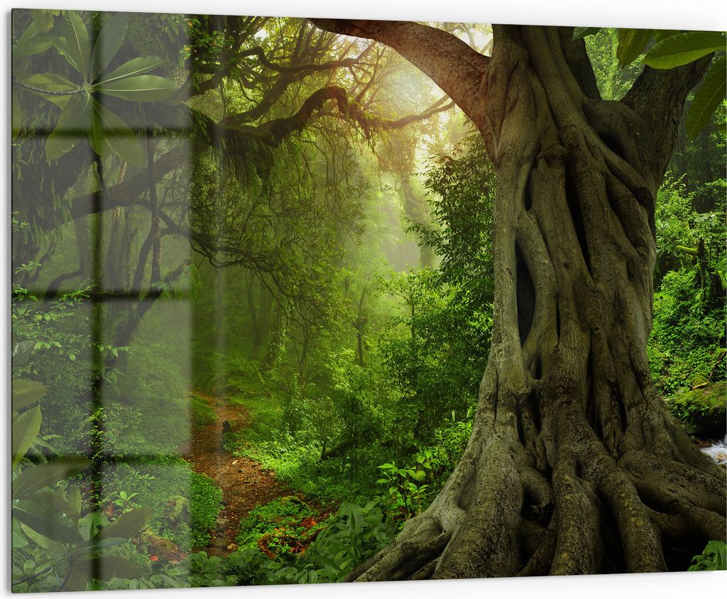 DEQORI Küchenrückwand Glas 80x60 cm 'Urwaldgeheimnis' Spritzschutz Bad Rückwand Küche