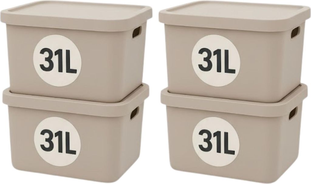 Plastard Aufbewahrungsbox 4er-Set, 31L, Lagerbox, Regalbox Produktbild 