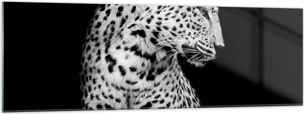 Bilder auf glas - Einteilig - Leopard Panther Katze - 160x50cm - Glasbilder - Wandbilder - Bilder - zum Aufhängen bereit - Wanddekoration aus Glas...