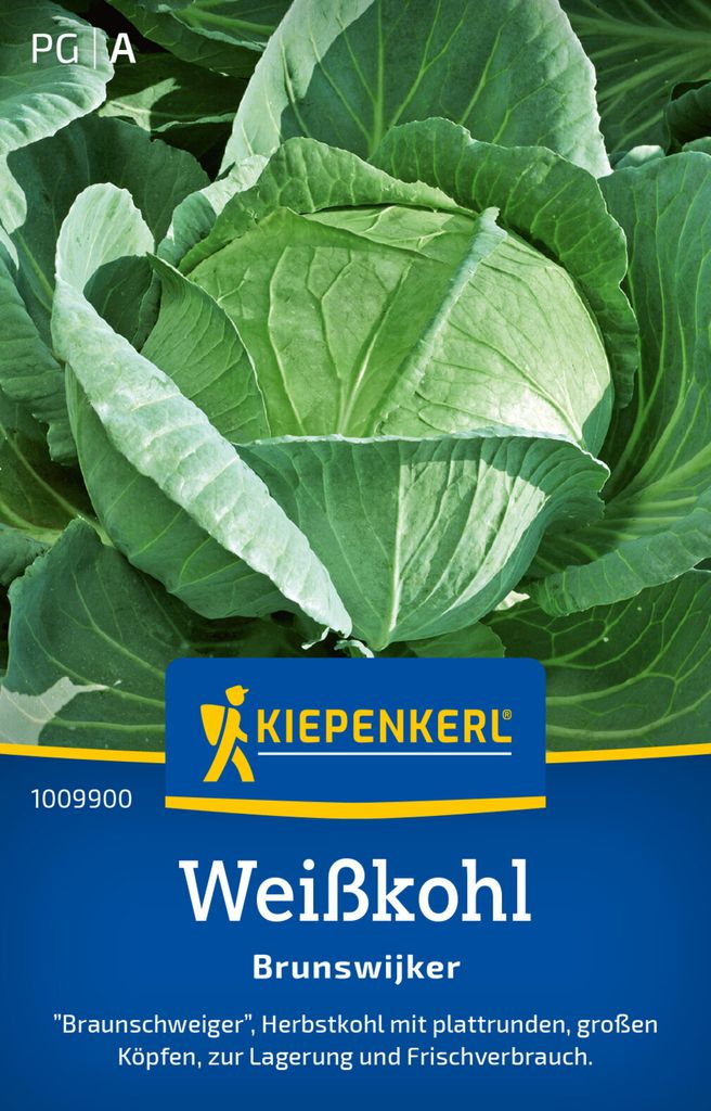Kiepenkerl Weißkohlsamen Brunswijker Brassica oleracea capitata alba 50 Pflanzen