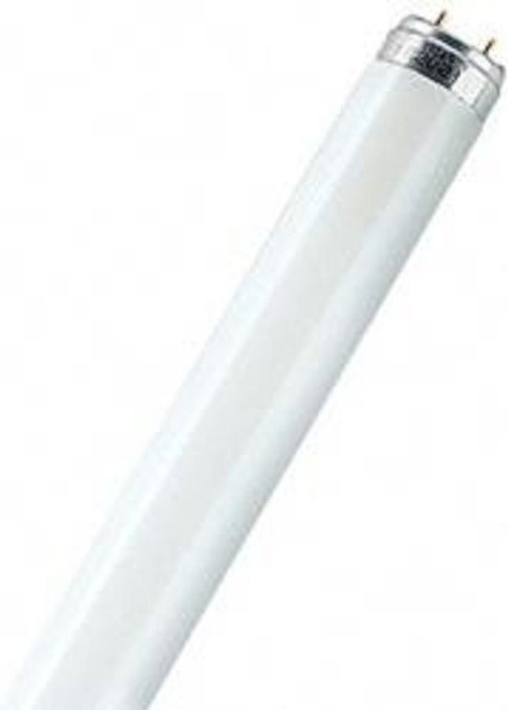 Philips 55877040, 36 W, G13, 3100 lm, Warmweiß Produktbild 
