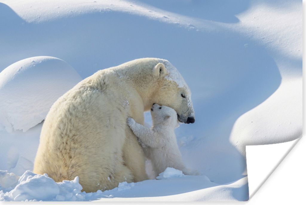 MuchoWow Poster Eisbär - Tiere - Schnee 60x40 cm - Schlafzimmerdekoration