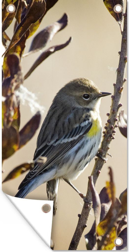 MuchoWow 40x80 cm Outdoor-Poster Gartendeko Sichtschutz Garten Poster für den Garten Vogel zwischen einem Zweig mit Blättern