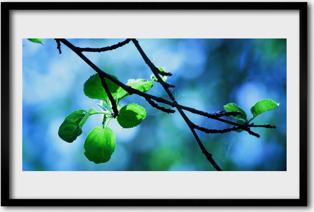 Bild 60x40 MDF-Rahmen Wandkunst Zweig Blätter Natur Pflanze
