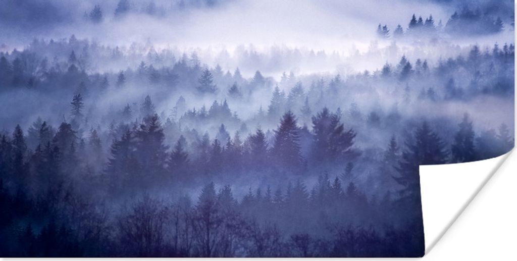 MuchoWow Poster Wald - Nebel - Norwegen 120x60 cm - Bild