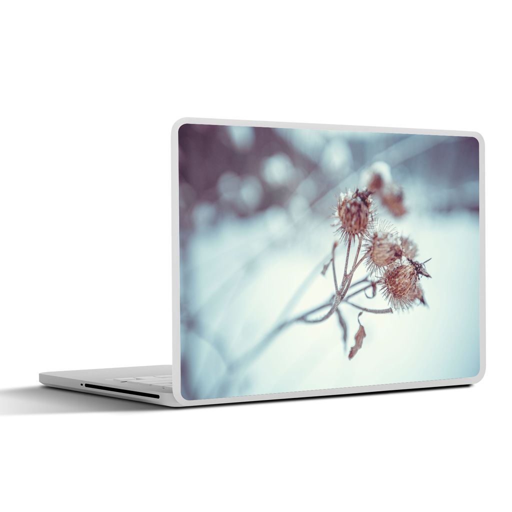 MuchoWow Laptop Aufkleber Sticker Cover Pflanzen - Winter - Schnee - Natur 25x18 cm - Laptop-Deko
