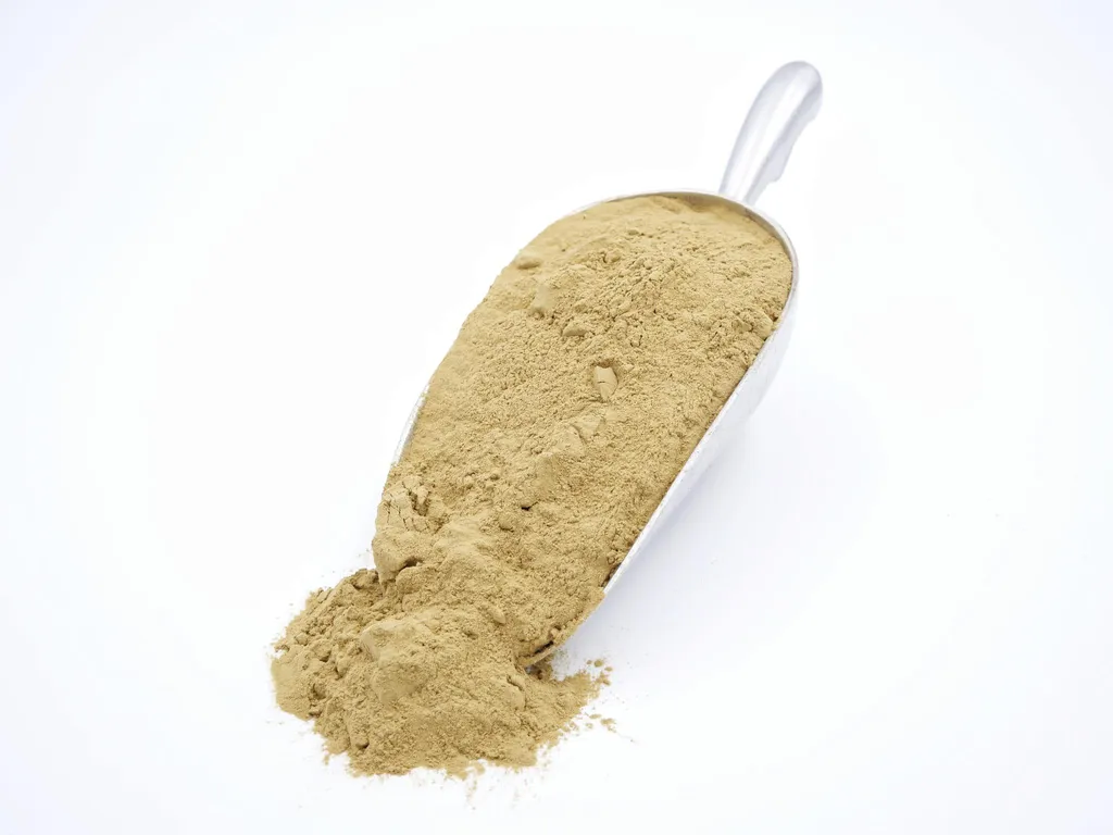 Additif Liquide au Foie de Carpe 100g - Boostez vos Bouillettes et Mix