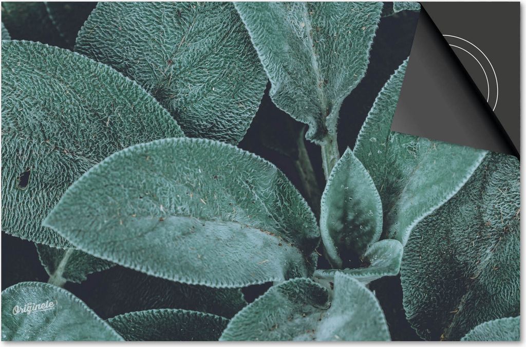 Induktionsschutz 60x52 - abdeckplatte Induktion matt- Dietrix Kochfeldschutz- Exklusive - Blätter - 24 LeichtGrüne Blätter