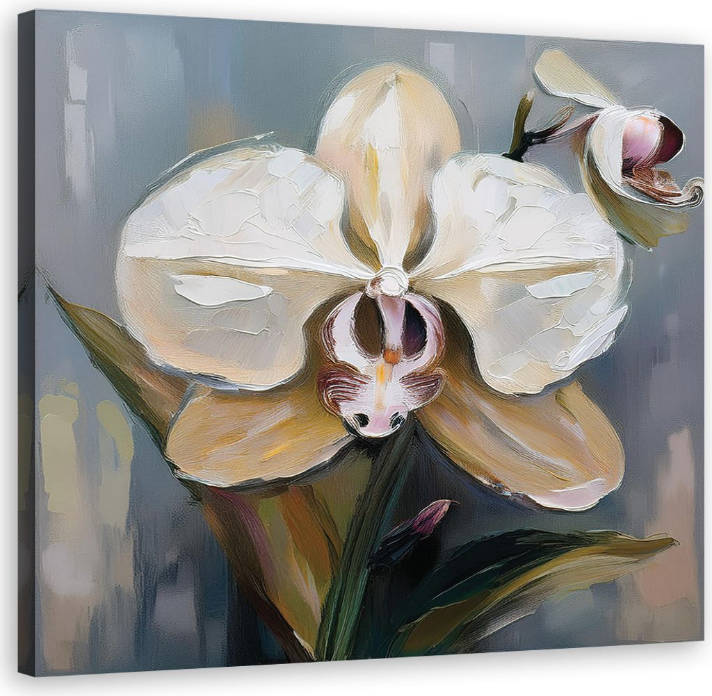 Leinwandbild Gemalte Orchideenblüte 60x60 Feeby Weiß bild für die wand bereit zum aufhängen
