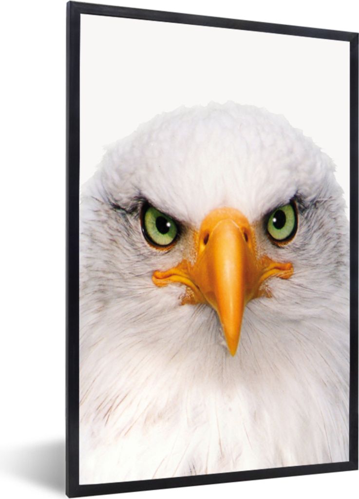 MuchoWow Gerahmtes Poster Jungen - Adler - Amerikanischer Weißkopfseeadler - Vogel - Porträt - Schnabel - Augen 40x60 cm - Poster mit Schwarzem...