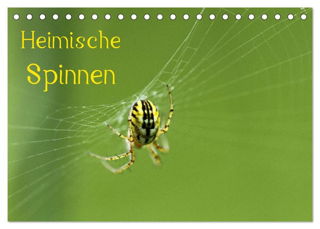Heimische Spinnen (Tischkalender 2027 DIN A5 quer), CALVENDO Monatskalender