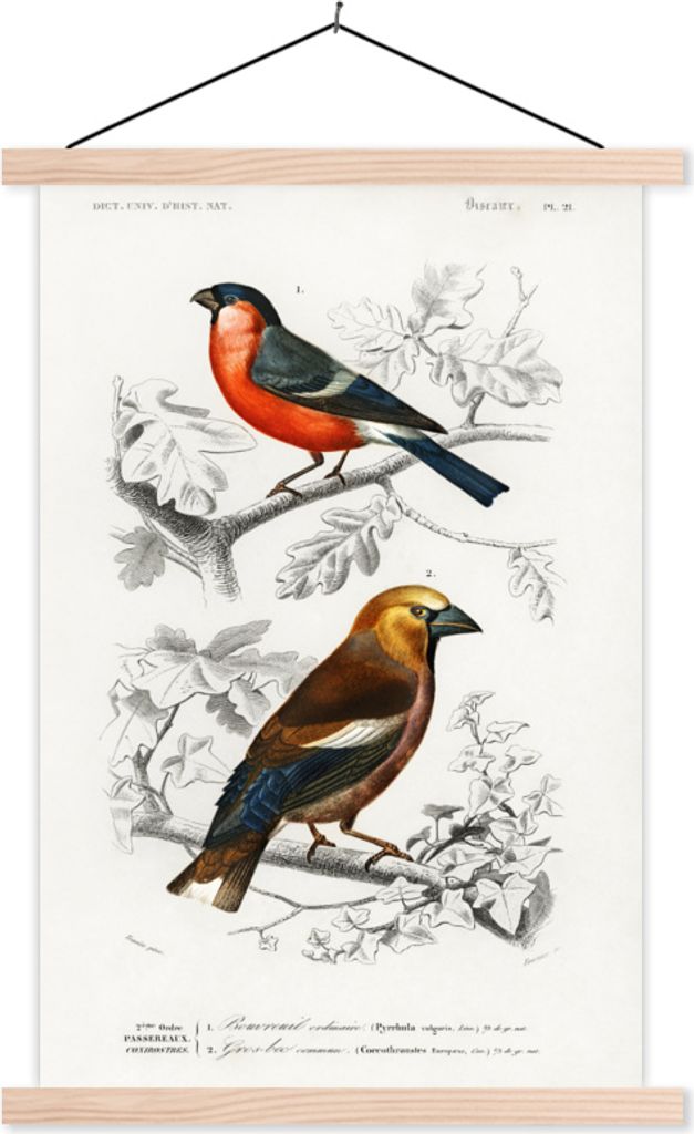 MuchoWow Textilposter Vogel - Vintage - Zweig 40x60 cm mit holzfarbenen Rahmen - Poster