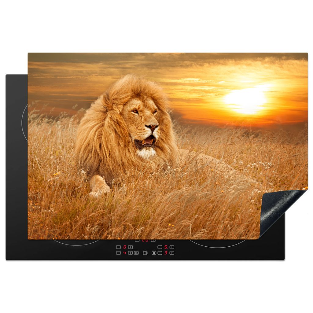 KitchenYeah Herdabdeckplatte Löwe - Sonnenuntergang - Natur - Tier , 76x51cm, Küche Deko, Glaskeramikkochfeld Herdabdeckung, Abdeckplatte fùr ...