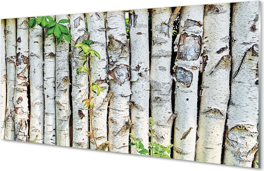 Glasbilder 100x50 Wandkunst Birkenblätter