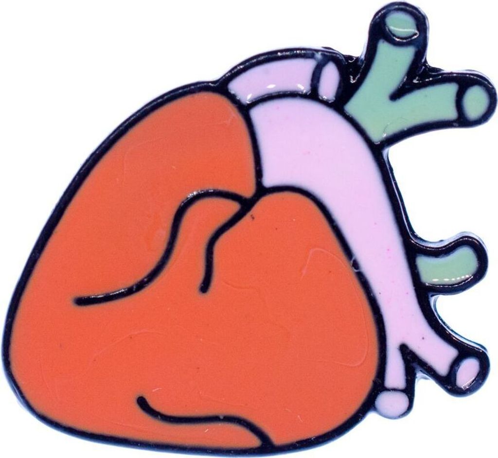 Herz Brosche Anstecknadel Anatomie Mensch Medizin Organ Comic Gesundheit Arzt