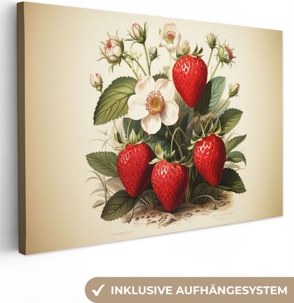 MuchoWow - Leinwandbilder - Vintage - Erdbeere - Pflanzen - Obst - Natur - Beige, Wandbild, Wanddeko Bilder Wohnzimmer, 120x80 cm
