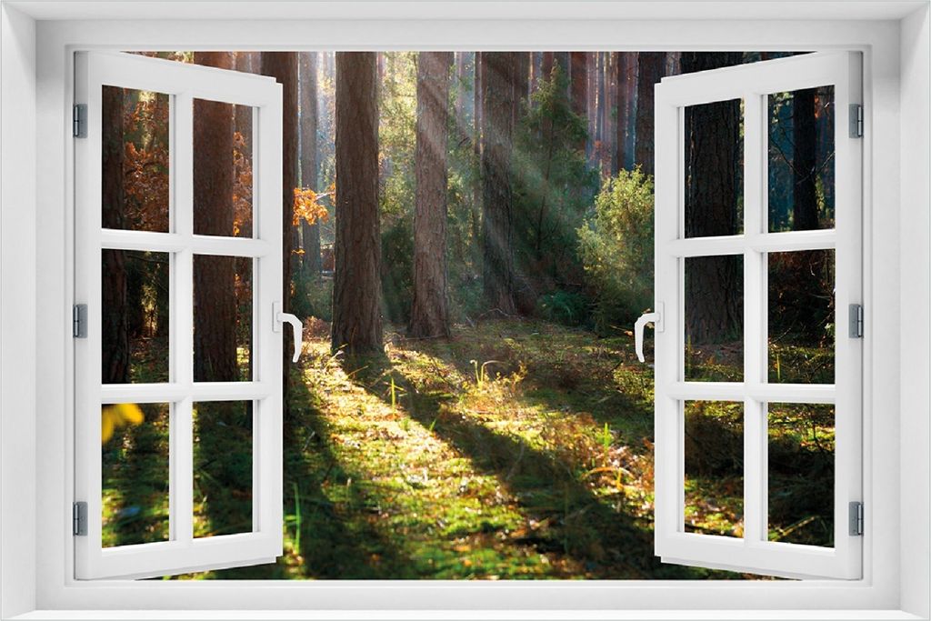 Wallario Poster mit Fenster-Illusion: Sonnenstrahlen im Herbstwald, Größe: 100 x 150 cm