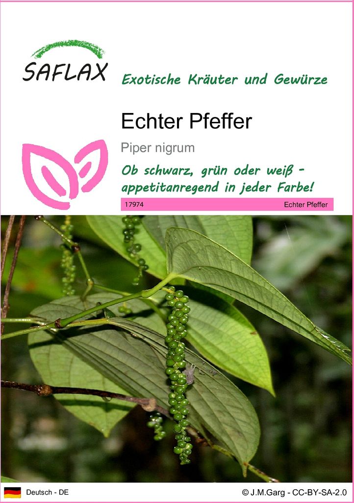 SAFLAX - Echter Pfeffer - Piper nigrum - 20 Samen Produktbild 