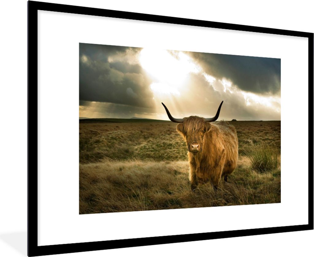 MuchoWow MuchoWow Gerahmtes Poster Schottisches Hochlandrind - Sonne - Tiere 90x60 cm - Poster mit zchwarzem Bilderrahmen - Wanddekoration - Fotos
