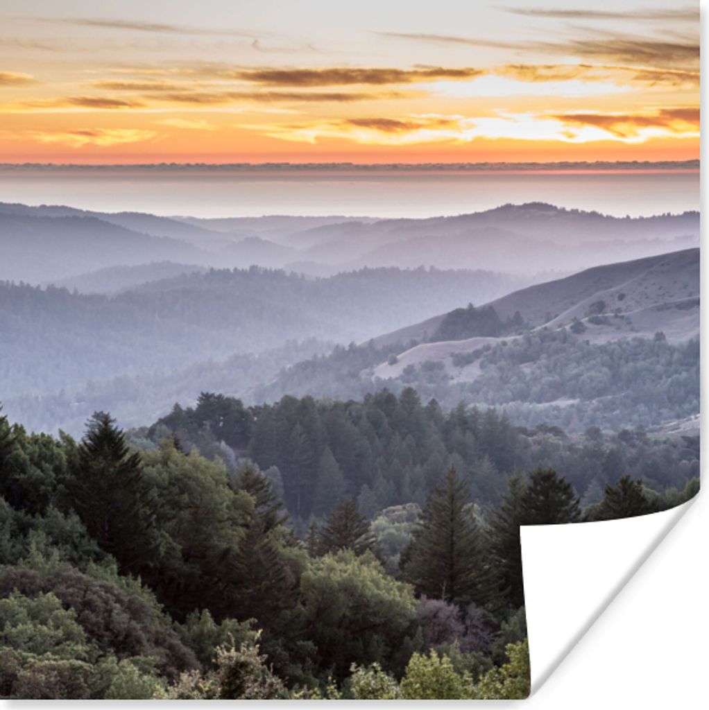 MuchoWow Poster Berge - Sonne - Wald - Landschaft 50x50 cm - Wohnzimmerdekoration