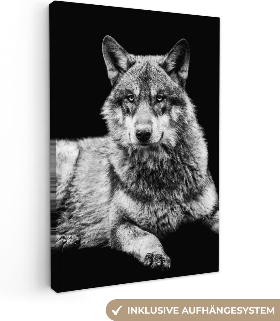 MuchoWow - Leinwandbilder - Wildlife - Wolf - Schwarz - Weiß, Wandbild, Wanddeko Bilder Wohnzimmer, 80x120 cm