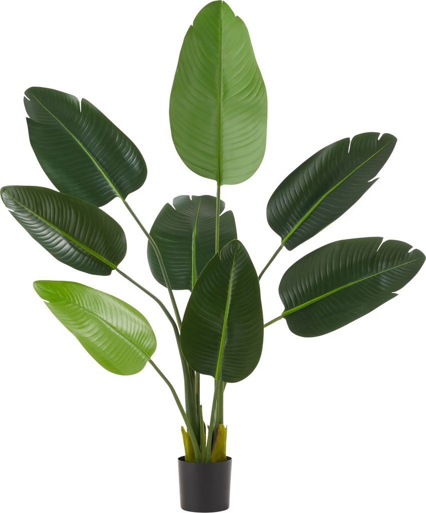 Umělý rajský pták Tropic, realistický - 120 cm Obrázek produktu 
