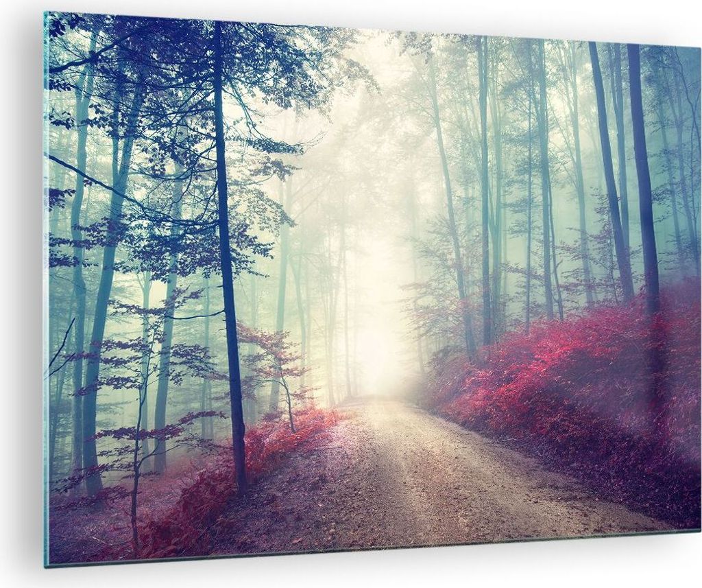 Bilder auf glas - Wald Baum Natur - 70x50cm - Glasbilder - Wandbilder - Kunstdruck - zum Aufhängen bereit - Wanddekoration aus Glas - Glas Bilder ...