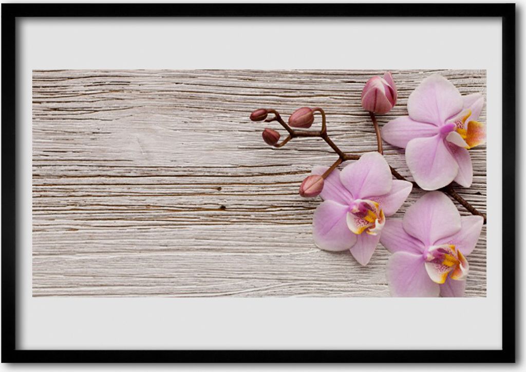 Bild 70x50 MDF-Rahmen Wandkunst Blumen Pflanzen Natur