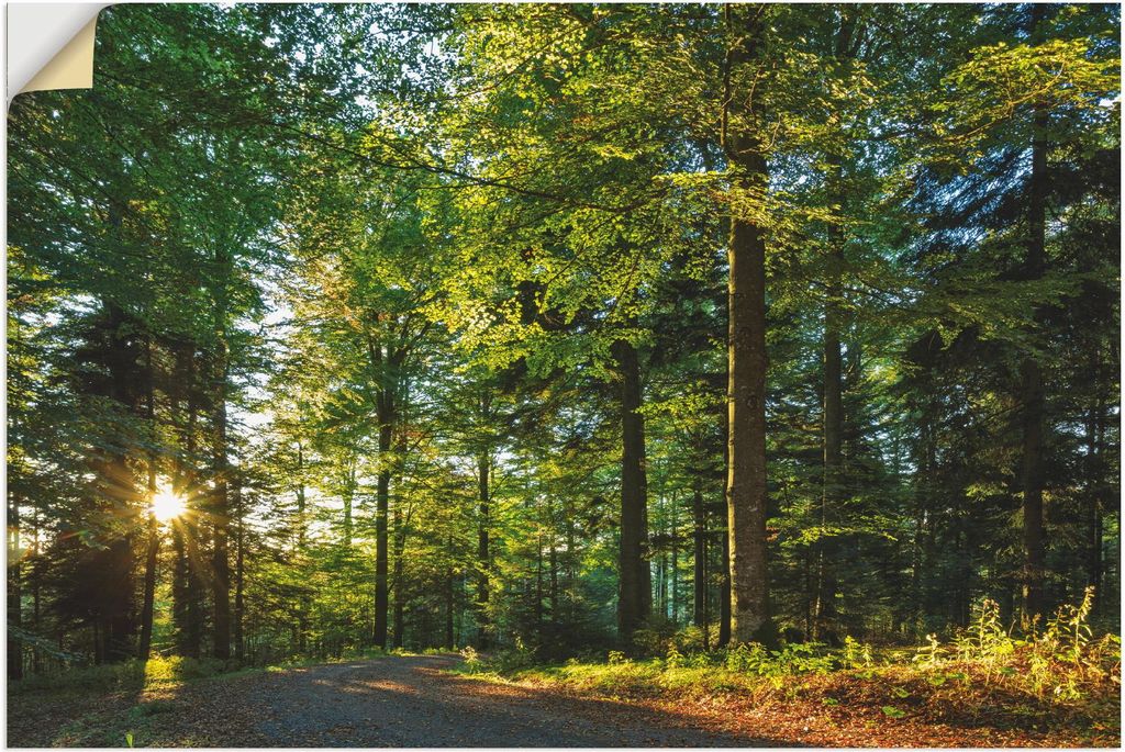 ARTland Wandbild, selbstklebend Waldweg im Romantischen Schwarzwald Größe: 30x20 cm