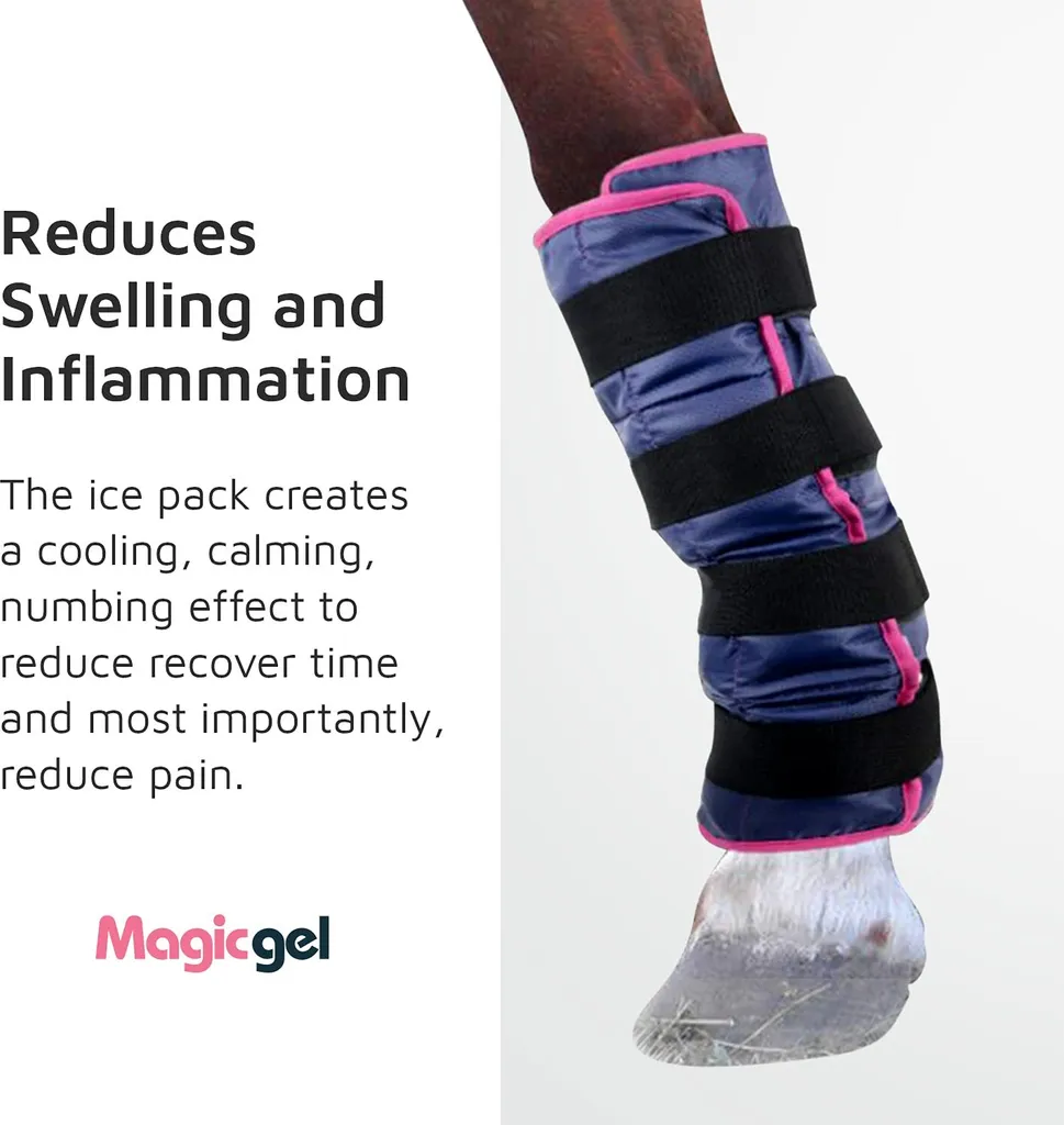 Guêtres pour Refroidir le Cheval avec Magic Gel Flexible - Taille Unique