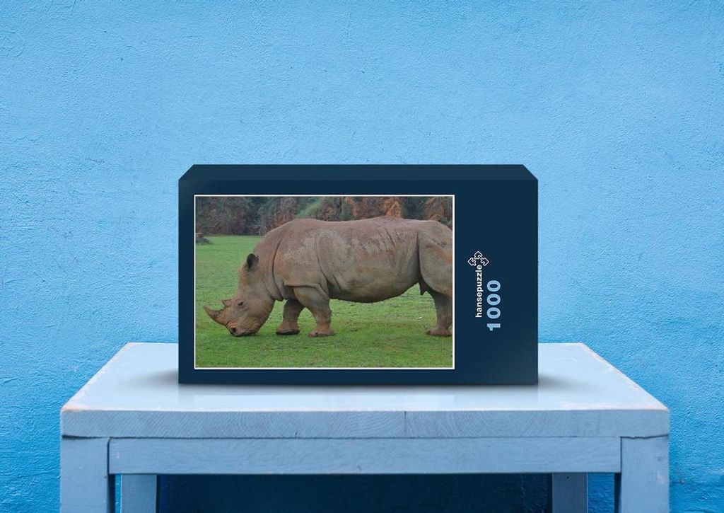 hansepuzzle 75755 - Nashorn Puzzle, 1000 Teile, Tierwelt, 60,0 x 46,0cm mit hochwertiger Aufbewahrung, Kartonbox und wiederverschließbarem Beutel
