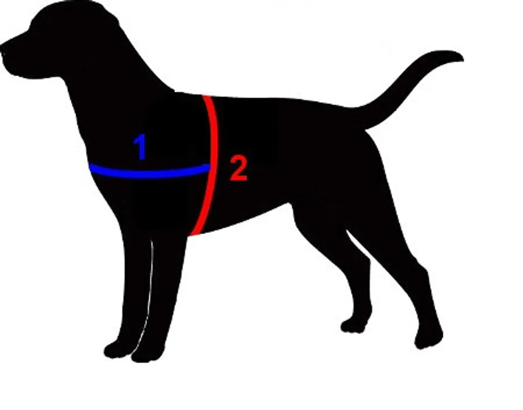 Nobby Collare SEGURO per Cani Rosso 45-60 cm | Comfort e Sicurezza - 2