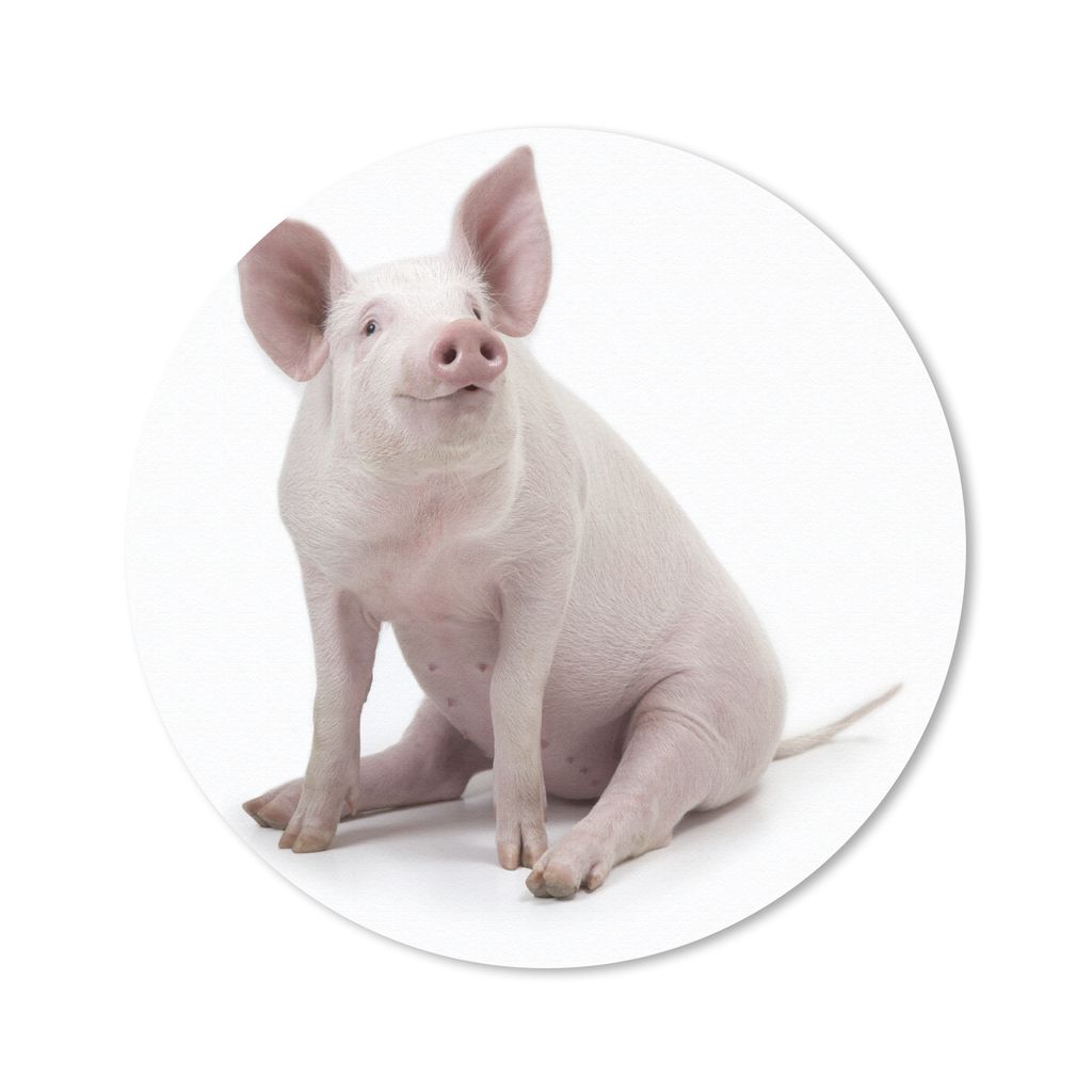MuchoWow Mauspad Mousepad Schwein - Bauernhoftiere - Weiß 30x30 cm - Mousepads - Maus Mat - Pad - Mausunterlage - Tischunterlage - Schreibtischm...