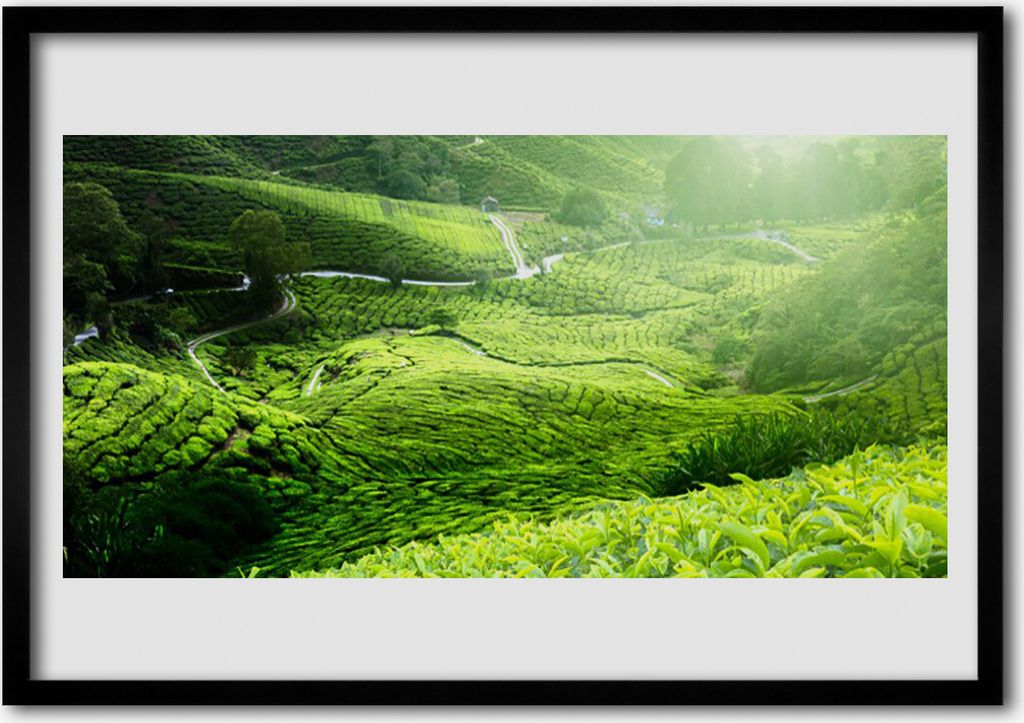 Bild 100x70 MDF-Rahmen Wandkunst Wiese Natur