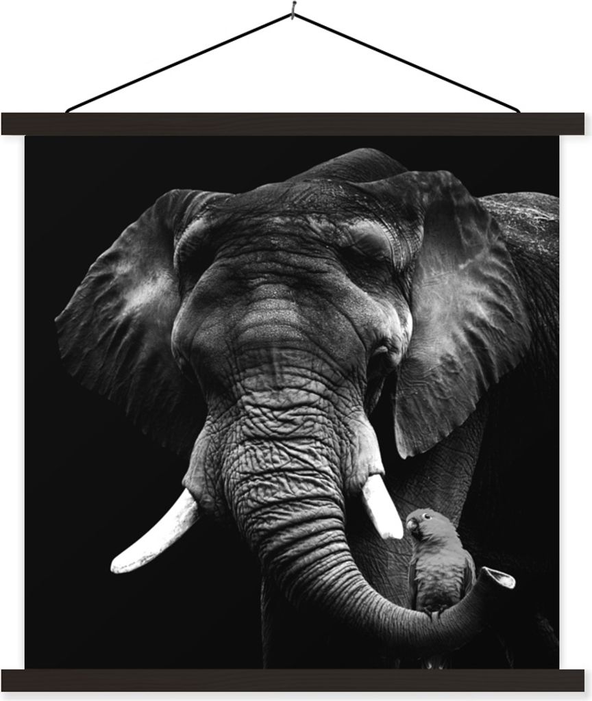 MuchoWow Textilposter Elefant - Papagei - Zähne - Schwarz - Weiß 90x90 cm mit schwarzem Rahmen - Magnetisches
