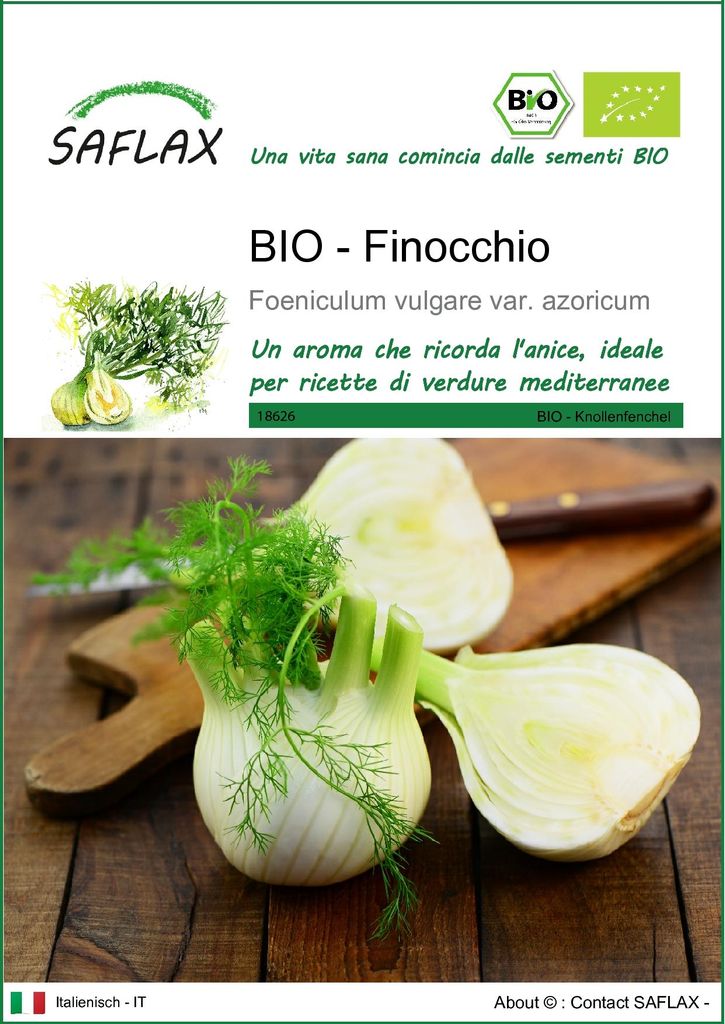 SAFLAX  -- Finocchio - 100 semi - Foeniculum Immagine del prodotto 