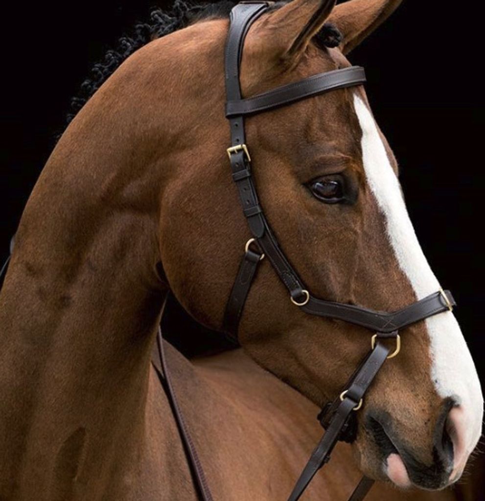 Horseware Ireland Zaum Micklem Rambo Multibridle Trense Produktbild 7