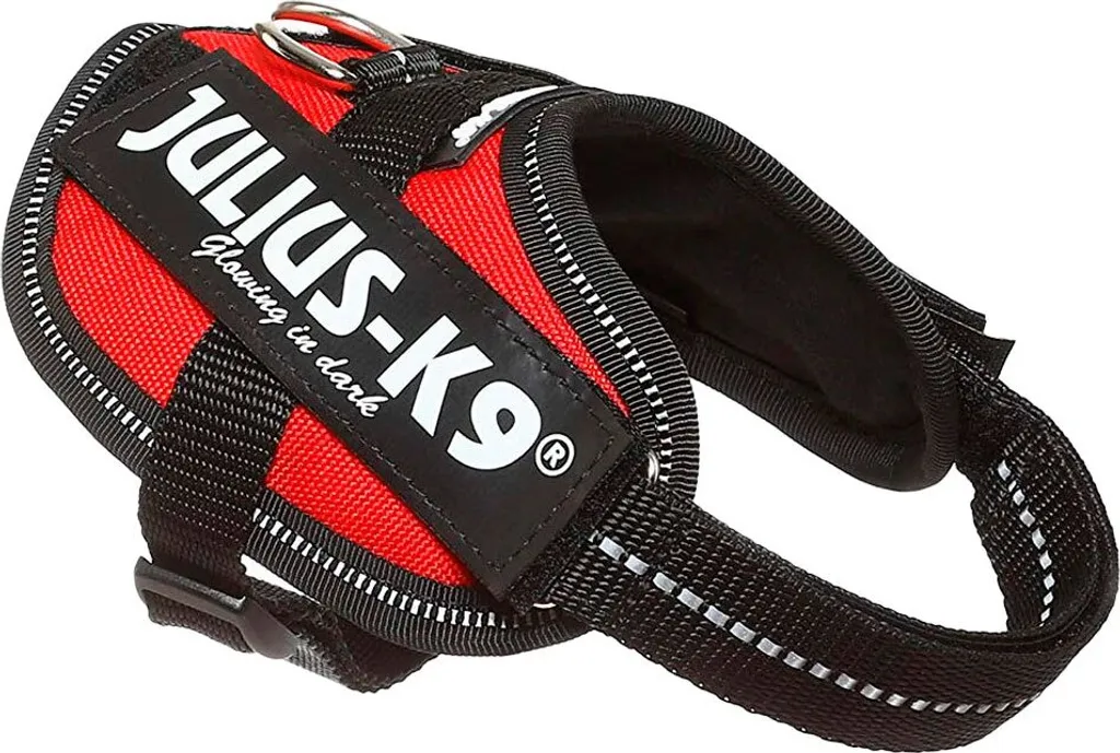 Analisi Julius K9 IDC Baby 1 Rosso: Perché è la Migliore per 29-36cm