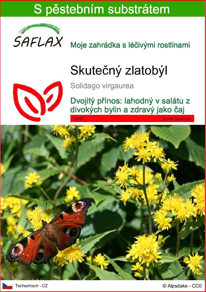 SAFLAX - Skutečný zlatobýl - Solidago virgaurea - 100 Obrázek produktu 