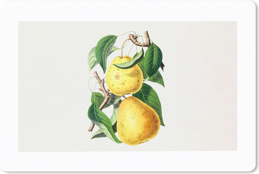 MuchoWow® Mauspad Mousepad Birnen - Obst - Gesund 27x18 cm Produktbild 