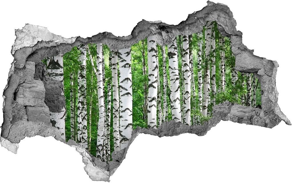 Selbstklebender Loch-3D-Aufkleber 95x73 cm Birke