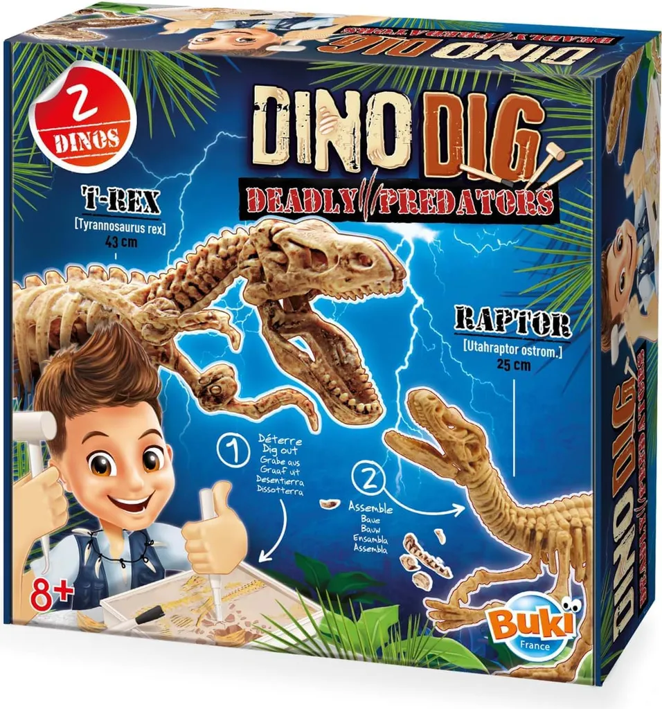 Kit excavation dinosaure multicolore Buki 2139 avec vrais outils