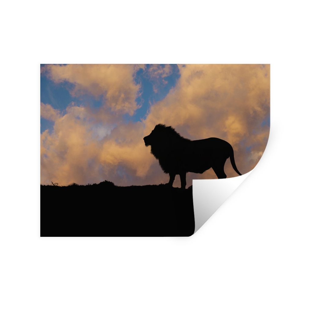 MuchoWow Wandtattoo Wandsticker Wandaufkleber Löwe - Sonnenuntergang - Wild 40x30 cm Selbstklebend und Repositionierbar - Faltenfrei