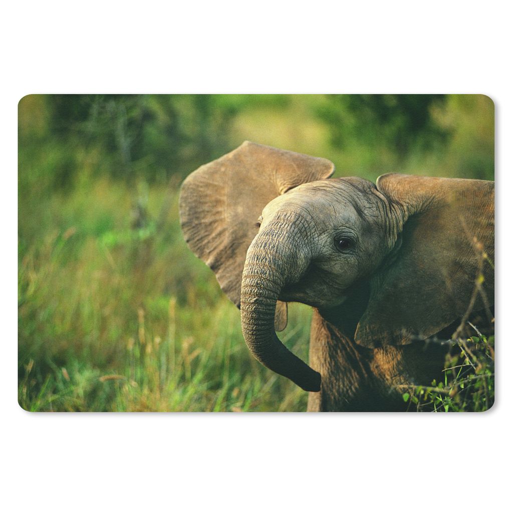 MuchoWow Schreibtischunterlage Elefant - Grün - Tiere - Natur 60x40 cm - XXL Mauspad - Großes Mauspad