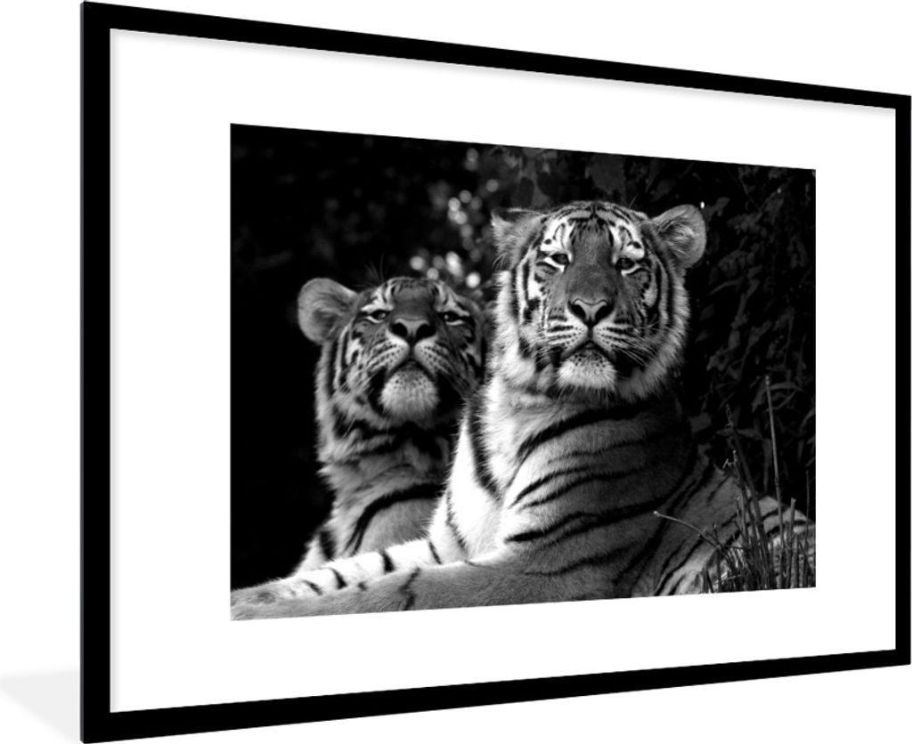 MuchoWow MuchoWow Gerahmtes Poster Tiger - Tiere - Schwarz - Weiß 90x60 cm - Poster mit zchwarzem Bilderrahmen - Wanddekoration - Fotos