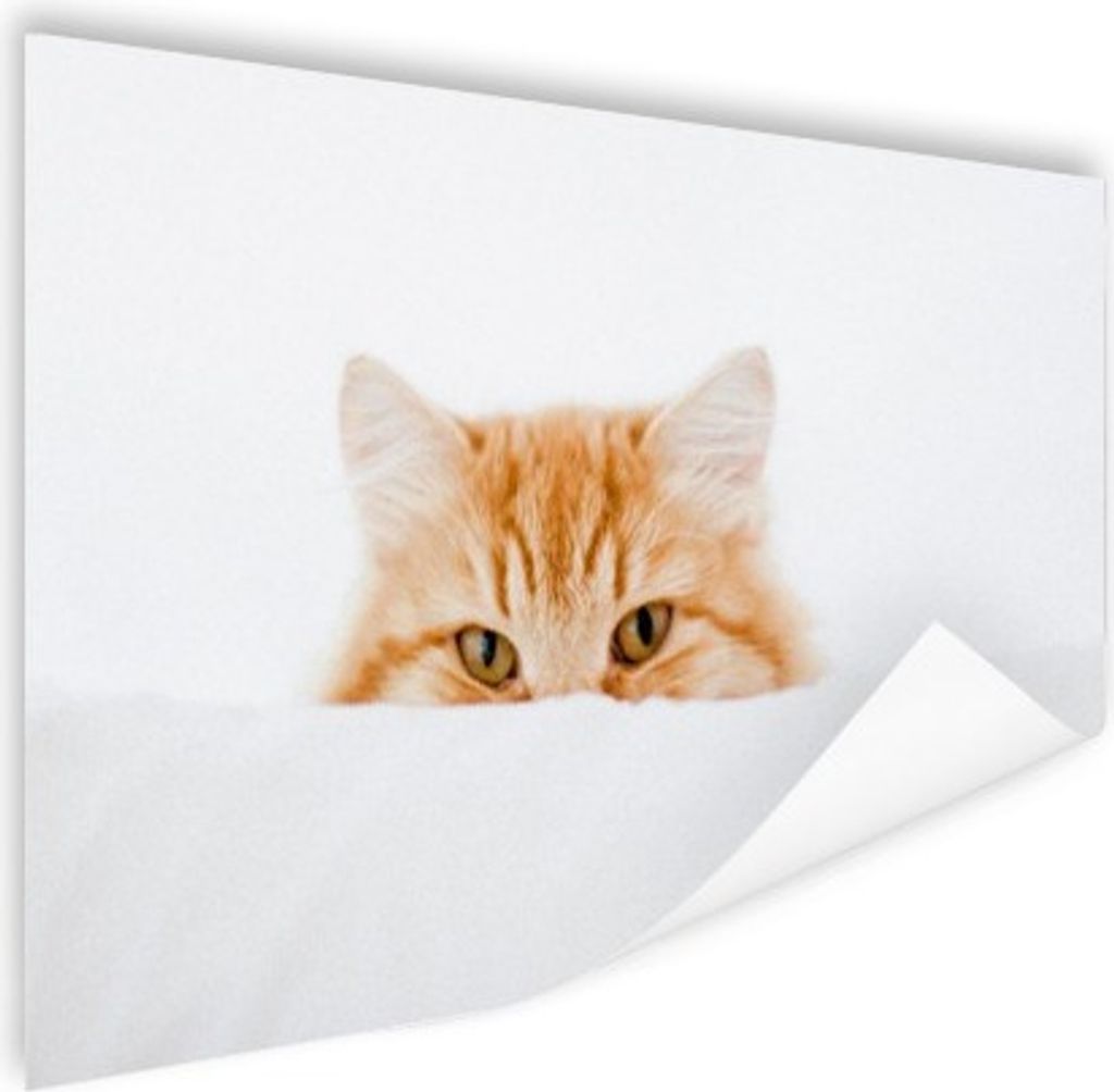 MuchoWow Poster Katze - Rot - Weiß - Mädchen - Jungen - Kind 180x120 cm - Fotoplakat